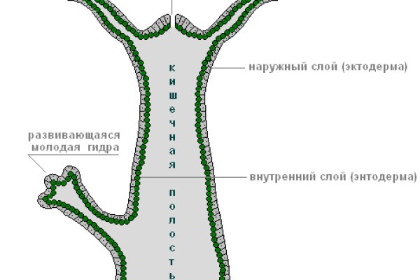 Кракен маркетплейс тор